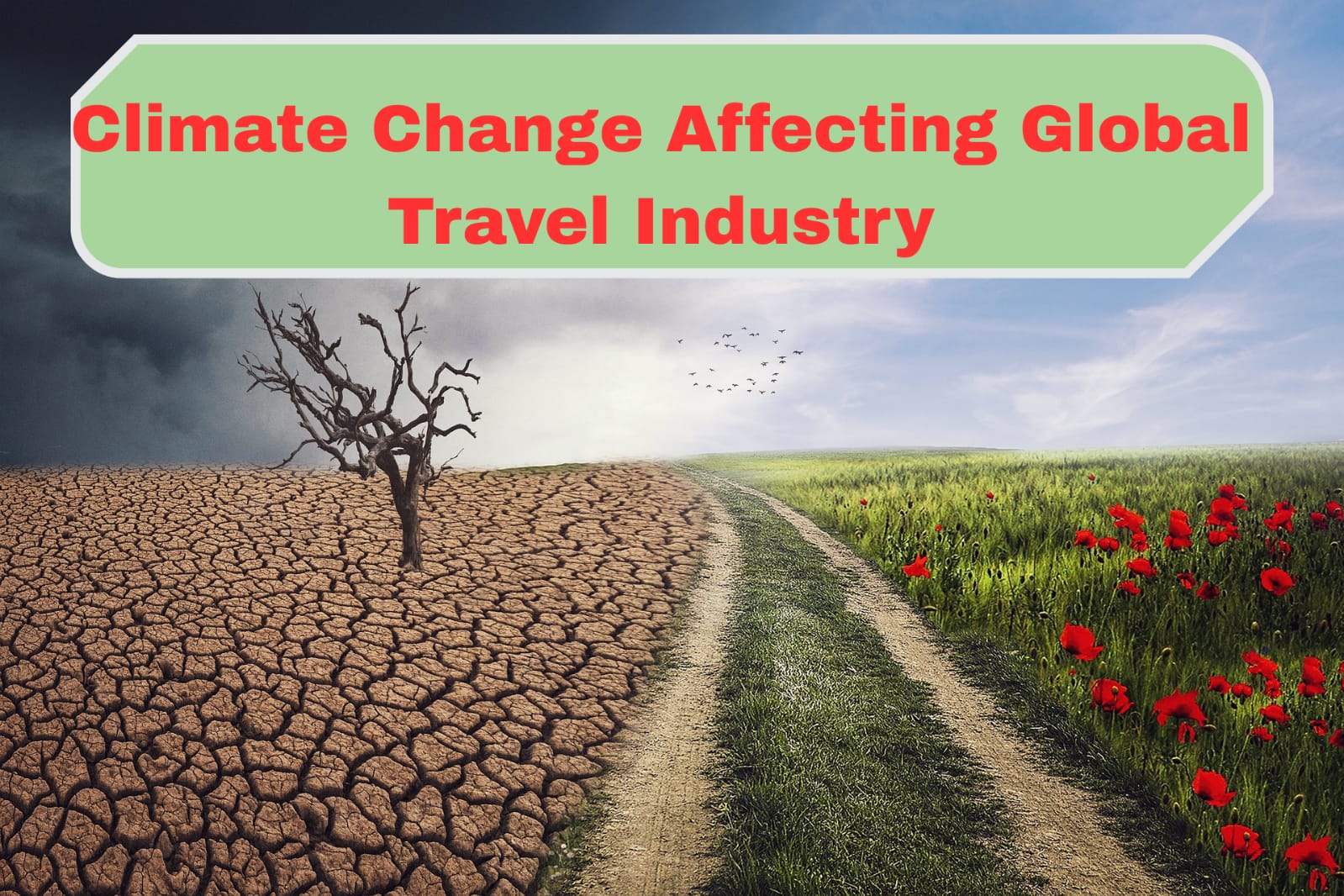 How Climate Change is Affecting the Global Travel Industry - Travelocademy